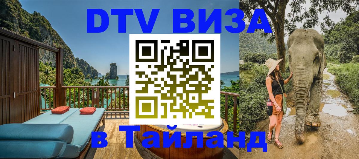 Оформление DTV визы под ключ: стоимость и тарифы, только загранпаспорт - Тирасполь 